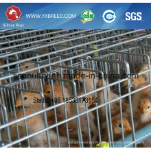 Poultry Cage / Bird Cage / Chicken Cage